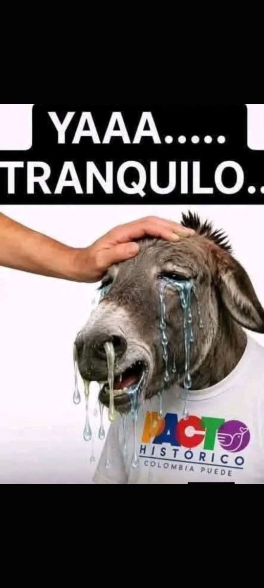 Icecolombia's tweet photo. @FisicoImpuro Oiga careverga uno tiene que ser muy hp para venderse de esa manera, pero usted es de esos mariconcitos que cuando no están detrás de un celular o un teclado y uno los confronta hacen escándalo y lloran... no vaya a llorar malparido de mierda https://t.co/CD81SQVALL