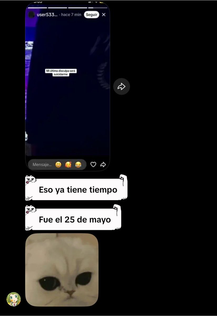 shigacami's tweet photo. La chica q mató al gato no es Vanessa N evil del caso de huellitas ‼️, es valery/chery, una tipa q idolatraba a Vanessa y subia edits de la tcc, incluso era admón del grupo de telegram donde subía gatos mü3rtøs, no solo fueron gatos, fueron hamsters,conejos y perros https://t.co/vdaOJCx6es