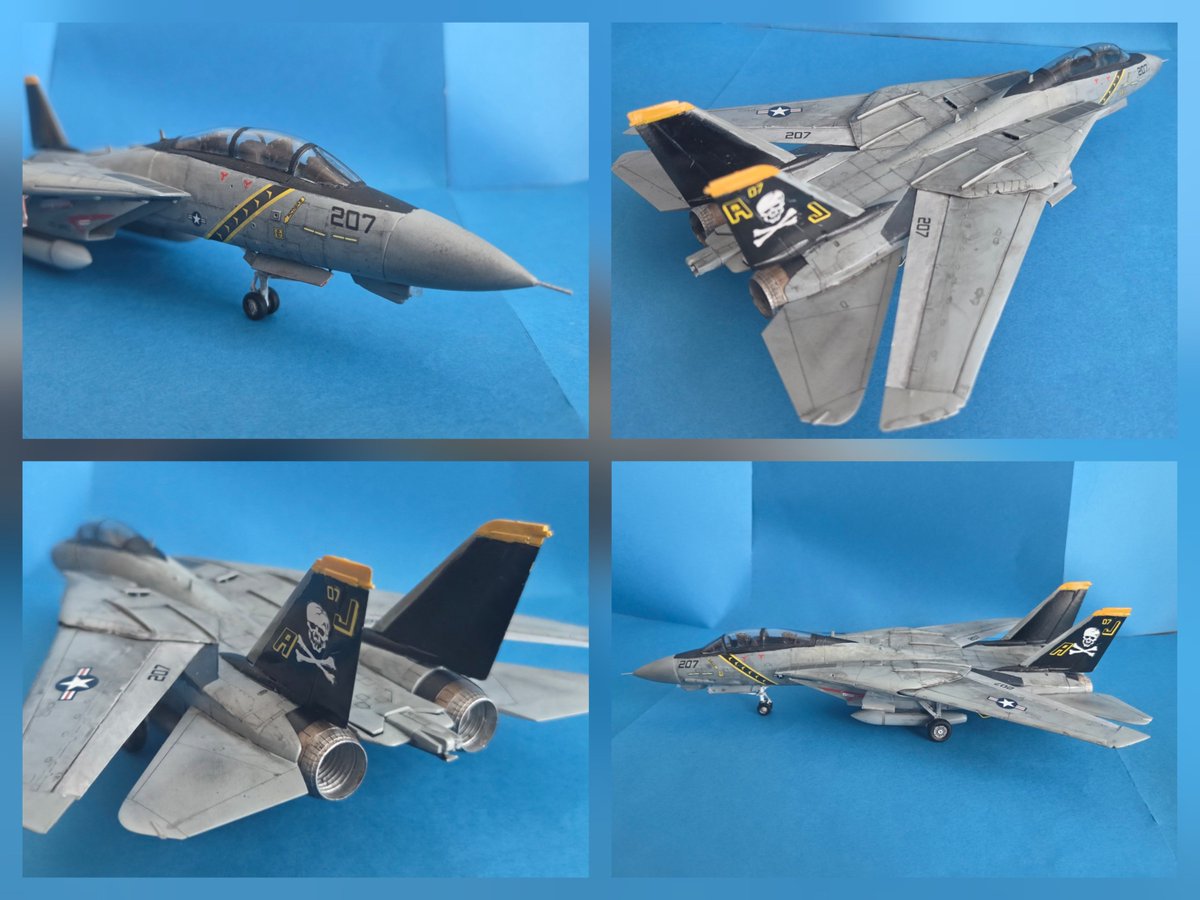 ハセガワ 1/72 F-14Aトムキャット“大西洋空母航空団”完成しました