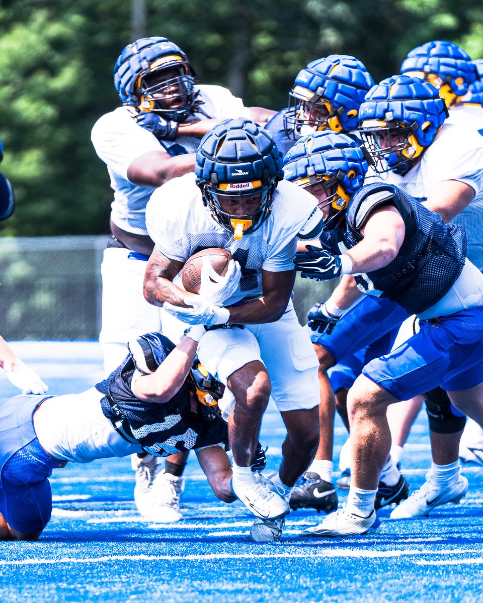 UNewHavenFB's tweet photo. 🐶 days

#FindAWay | #FAST https://t.co/X1Gajsiv7L