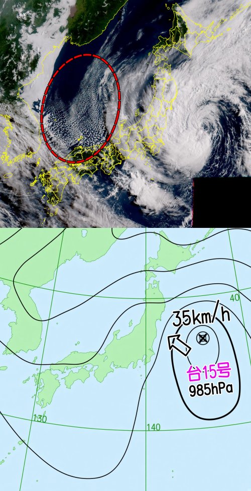 STY1330's tweet photo. ナント、日本海西部に下層寒気流入に伴う対流雲（オープンセル）が出現！

これは西高東低の冬型の気圧配置の時に日本海などでよく見られるだが、8月のこの時期に日本海にこれほど明瞭に表れるのは珍しい。

たしかに日本付近は東海上に台風15号があり日本海の気圧が高く局所的に「西高東低」っぽい気圧配置になっている。

本来今の時期には見られない、貴重なものが見られた。

※　出典　気象庁