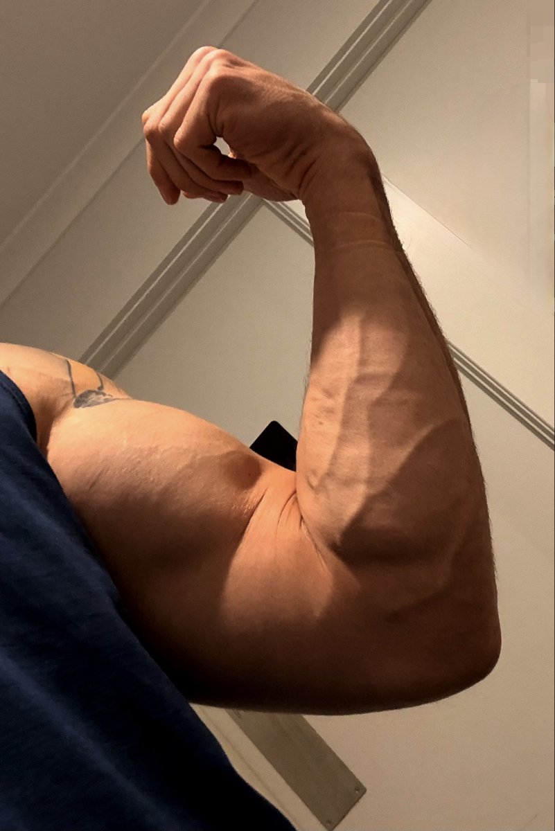blazeyboy_'s tweet photo. Twink jail anyone? https://t.co/f9rngExXvB