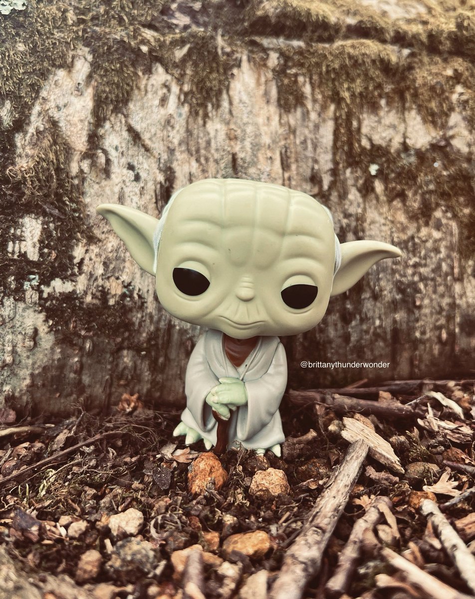 BThunderWonder's tweet photo. 💚Yoda💚 #Yoda #Funko #StarWars #FunkoPhotoADay #FunkoPhotography #FunkoPhoto #FunkoPop #FunkoLife https://t.co/LuTWOoyJSb