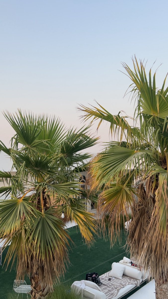 R3alfares's tweet photo. summer vibes🏝️ https://t.co/1MfjGniZd9