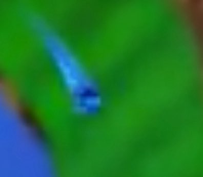 loki_okidoki's tweet photo. @sonic_hedgehog Wait a second… do I see white gloves and red shoes if I squint a bit? Gasp sonic is that you!? https://t.co/b2eh3Hfm3U