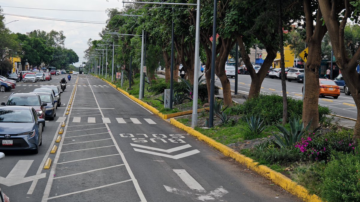 caminalex's tweet photo. La línea 14 de trolebús es el peor ejemplo de como no debe ejecutarse un proyecto de una triste línea de autobuses.

Destruyó una ciclovía y ni rastro de señalización BUS-Bici, no vínculo ni integró a los operadores concesionarios que atienden el mismo recorrido y de paso no comparte su infraestructura y mobiliario con la ruta idéntica de @RTP_CiudadDeMex.

Esto es el resultado al detalle de personas incompetentes y desinteresadas por la Movilidad; Solo esperando un miserable hueso.

No es estar en contra de un partido o persona, es que las ocurrencias y pésimas ejecuciones son indefendibles técnica y operativamente. Cof Cof Centrobús.