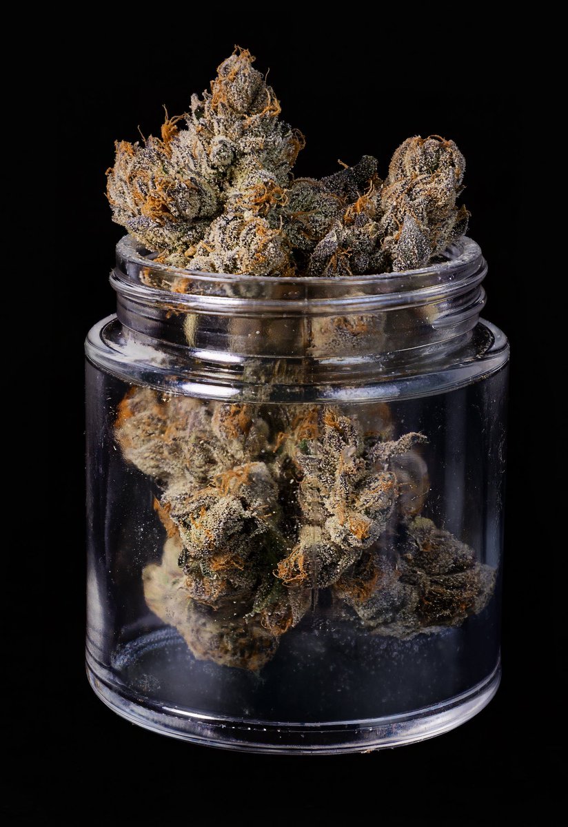 JBeezySJG's tweet photo. What up dank lovers. Here we have Wild Shotz = Gello Shotz x Wild Cherry. This one is gassy dank with a Lemon Cherry bug structure but has high terpenes and great flavor 🙏👊🔥✅🎯⛽️✅ https://t.co/XK9hRycjLk