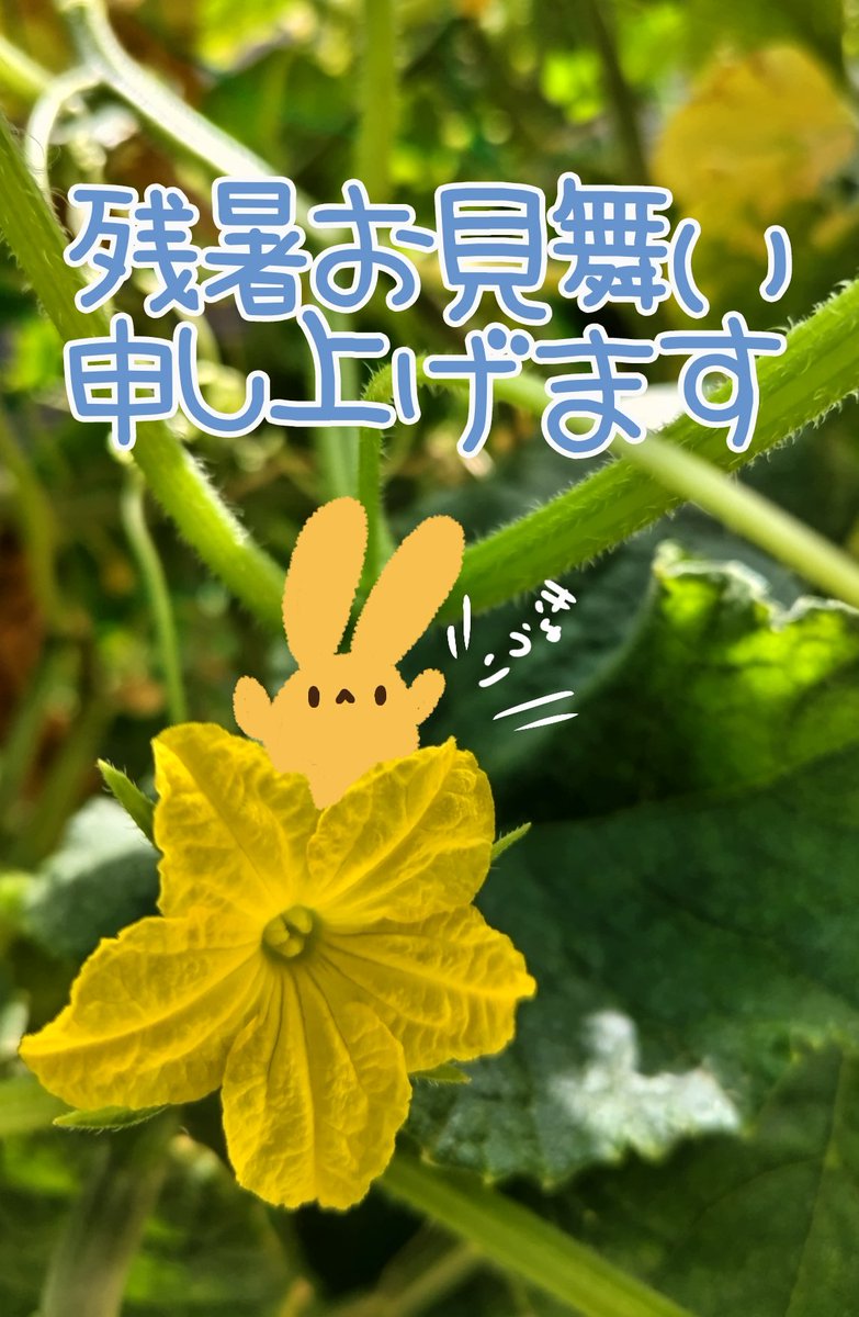 shamoji9's tweet photo. おはよー🐰
台風が見たことない動きしてるっ
皆さまお気をつけてー！ https://t.co/JptjpfFLrx