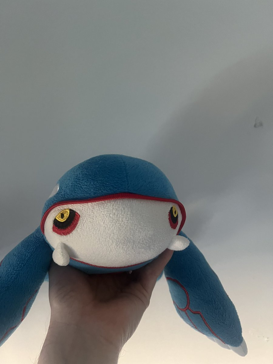 dismanbroke's tweet photo. @OoCPokemon I have HIM https://t.co/TC4jIhLASv