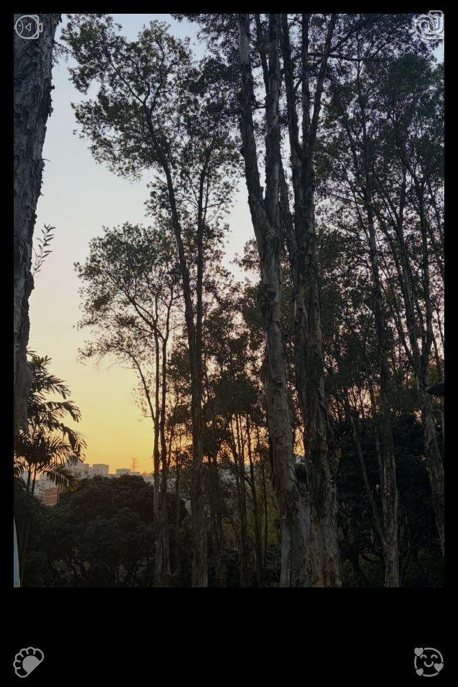 nanaki54's tweet photo. A faint smile curved Leo's lips as he gently clasped her hand, and together they strolled from the greenhouse into the garden. Sunlight streamed down, blossoms unfurled in vivid hues, and birdsong filled the air—an idyllic morning, a flawless instant, the dawn of something wond https://t.co/zKmL9QUFHh