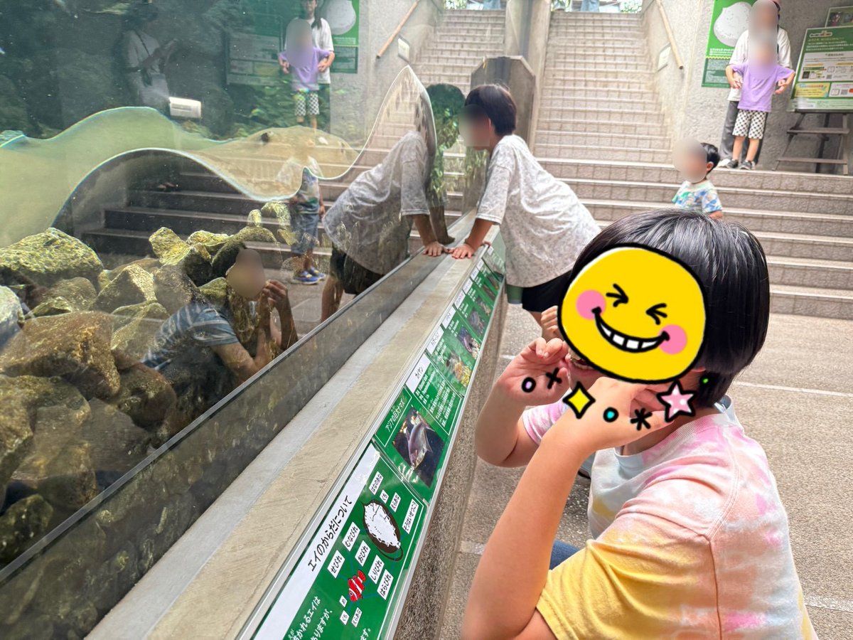 OHANAKIDS187784's tweet photo. 水を眺めるだけでも涼しい気持ちになるかも
ねったいかん
板橋区
夏以外も利用しますが
何度行っても楽しめる
こまめに訪問させていただきます
#OHANAKIDS #大泉学園 #ねったいかん #板橋区 #夏 #水 #涼しい https://t.co/eshHP488Fv