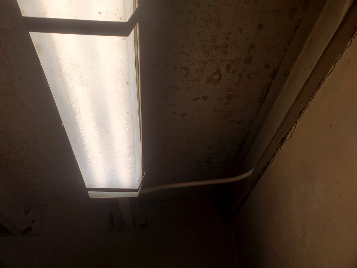 WalrusDog's tweet photo. i take photos some times and i have a lot saved up from over the years.  i've never posted them anywhere so im going to post 4 a day until i run  out.  

1/?

#photography #liminal https://t.co/vDeJkyzyaD
