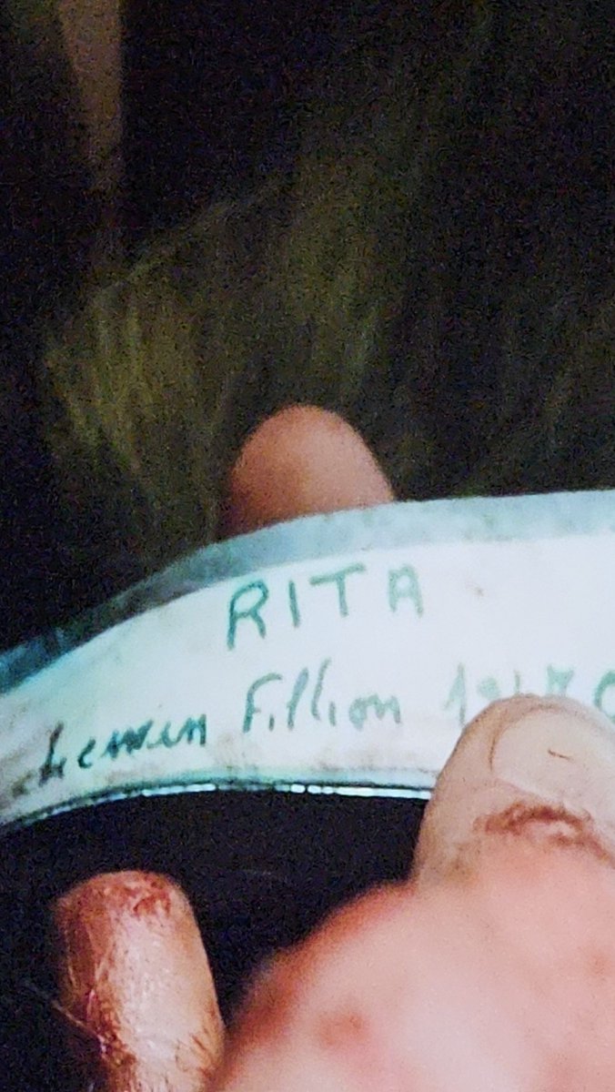 t1c14's tweet photo. No puedo con este nivel de Coincidencia. Justo a Mando se le pierde su placa de identificación y en Rojo de Kieslowski hay una escena de eso https://t.co/uRkmS2ibSl