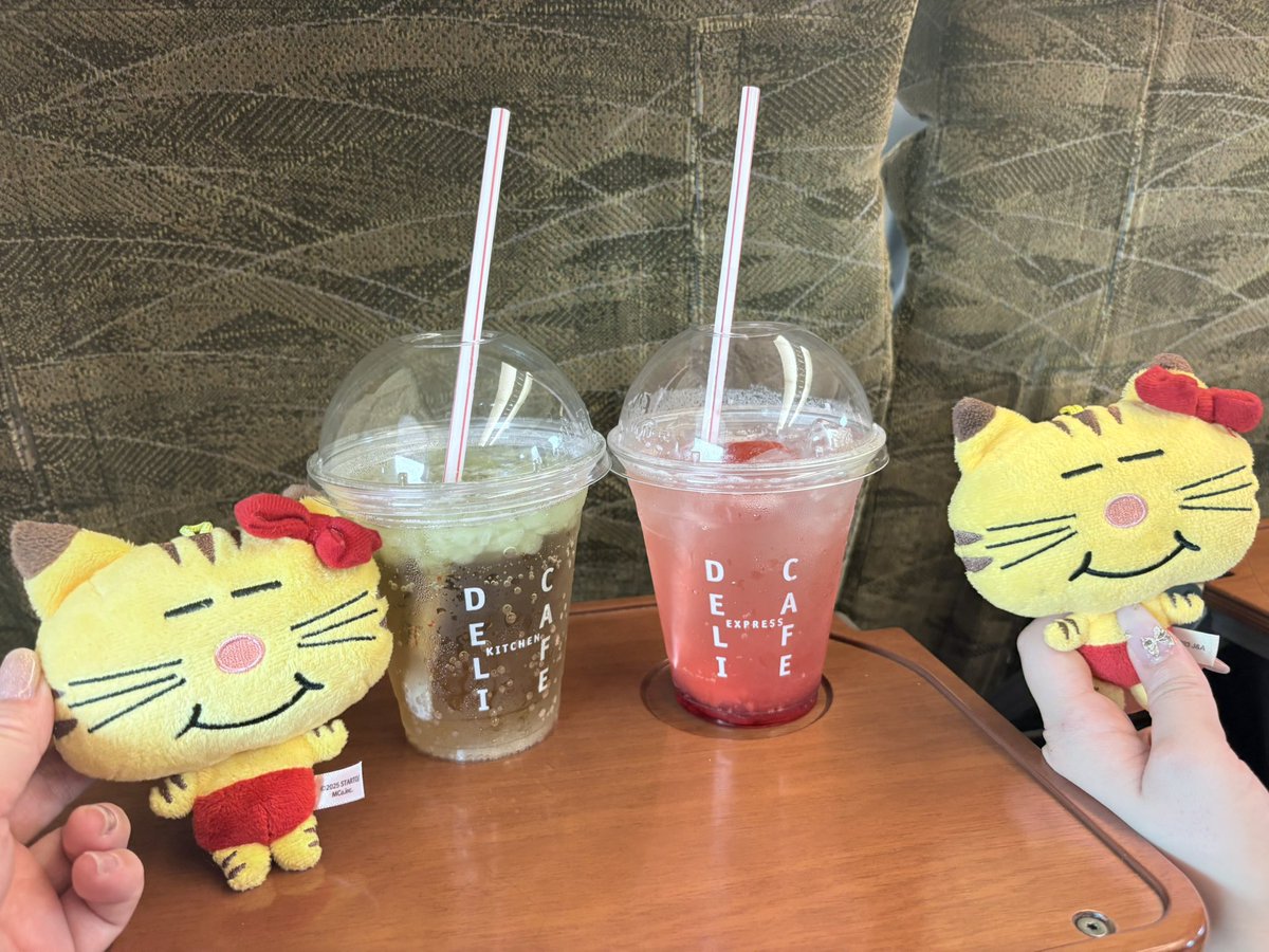 yuko_cmps's tweet photo. しゅっぱーつ！
#NEWS_KMK https://t.co/H6OnWYnONz