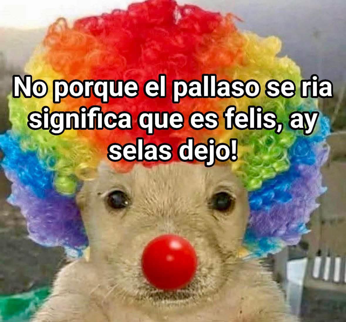 ElJeringasLoko's tweet photo. https://t.co/EP9eiYac9o