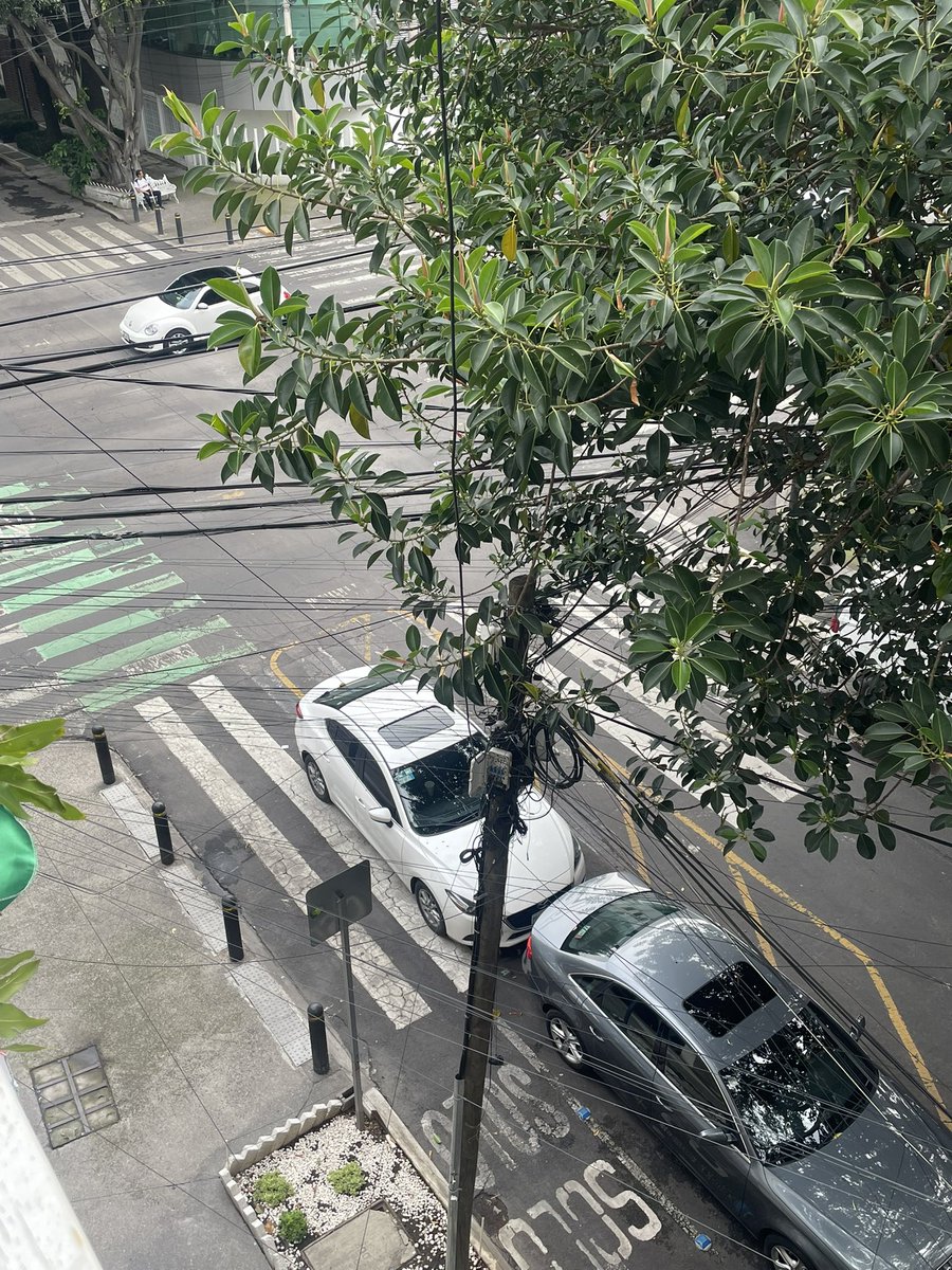 luisalbertoroca's tweet photo. coche que repetidas ocasiones se estaciona sobre paso peatonal en eje 8 sur, esquina con adolfo prieto en la del valle sur @UCS_GCDMX @OVIALCDMX @supercivicosmx https://t.co/floGjtyMu2