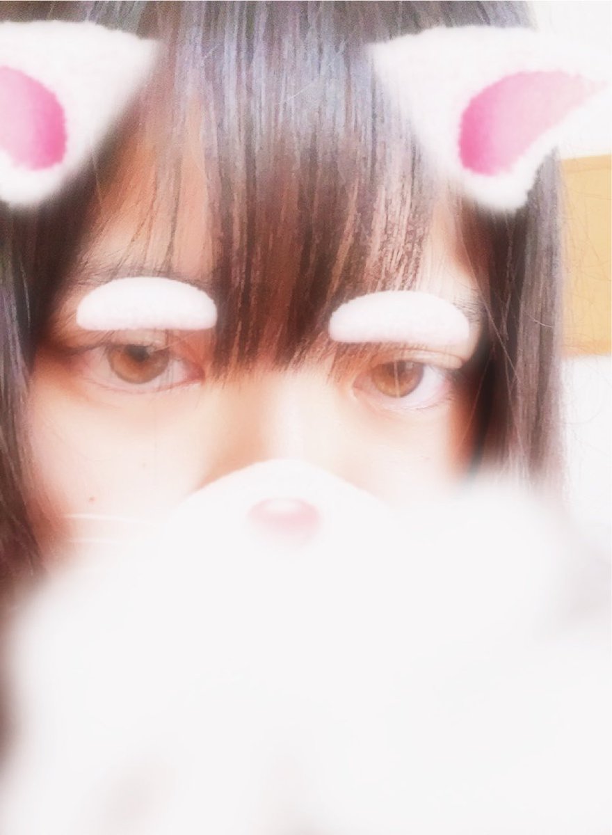 fa4zc's tweet photo. すっぴん重加工✨️✨️ https://t.co/mFelGuc0sv