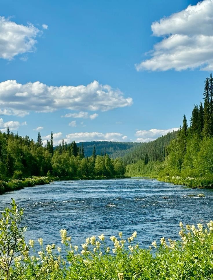 echoesofworld's tweet photo. Finland countryside https://t.co/QKos6Y7x3B