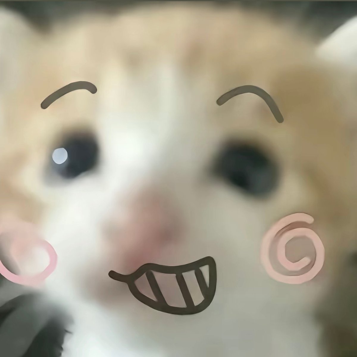firenhby's tweet photo. @chaoyun12 对的对的 https://t.co/0xQDI8RU49