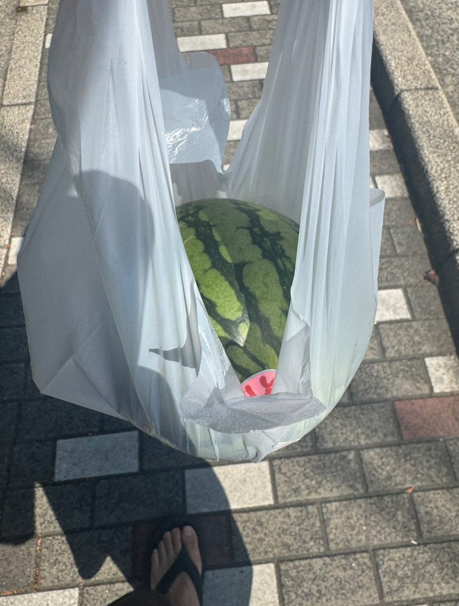 GonFreecss2130's tweet photo. @ike1984official おはよう、アイク!! スイカはどうやって採るの? 毎回選ぶけど味がない。😵‍💫姉は私が選ぶことを禁じている。 (T_T) https://t.co/sPCP1dD127