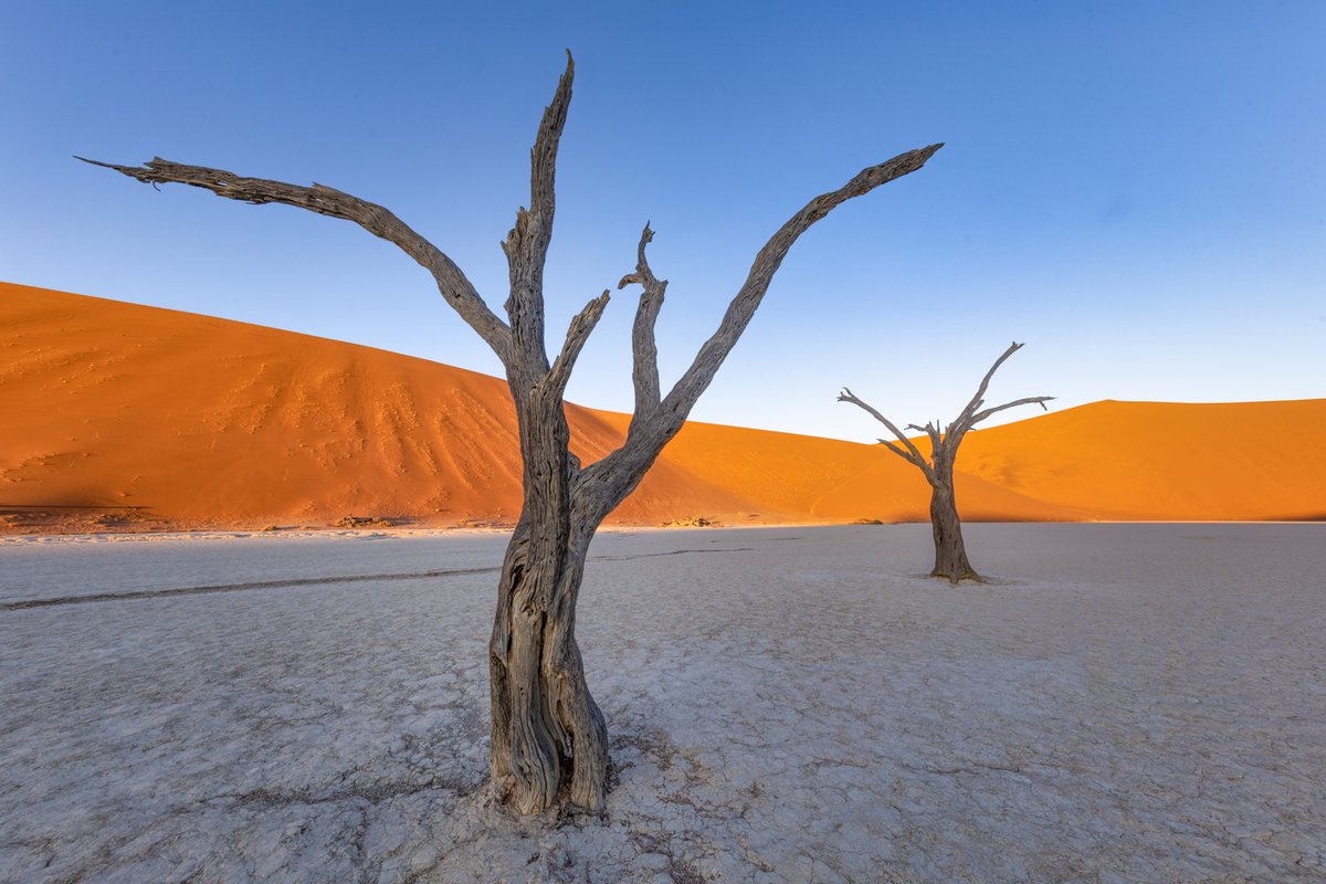 bernabephoto's tweet photo. "Go Your Own Way" Deadvlei, Namibia #photography https://t.co/1lPde473uv