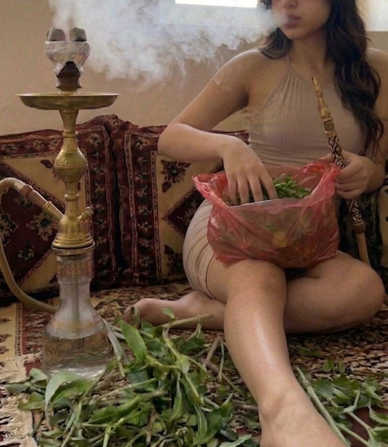 jouuygg's tweet photo. ابغى قات حلو قاتي مو زين اليوم 🥹 https://t.co/UzEbhDgvYw