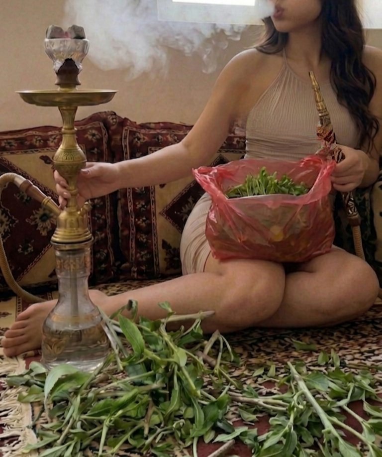 jouuygg's tweet photo. ابغى قات حلو قاتي مو زين اليوم 🥹 https://t.co/UzEbhDgvYw