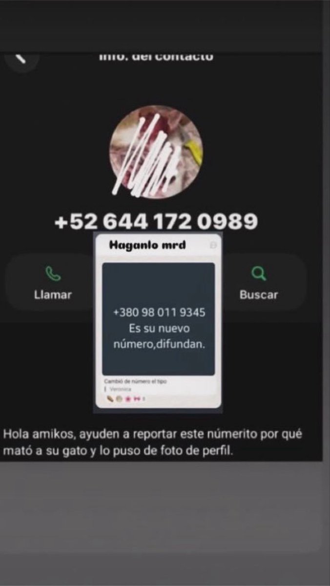 MitzukiWas's tweet photo. @gh0st_drg La tipa cambió de numero https://t.co/OKschJUC9h