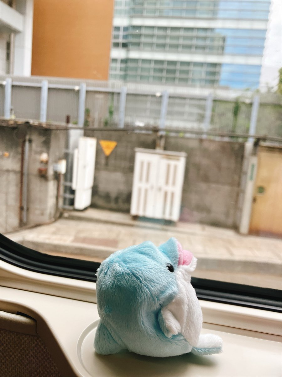 RerukaS's tweet photo. 旅行の始まりだ！
#ミニビーンズ https://t.co/nhih4OcTHU