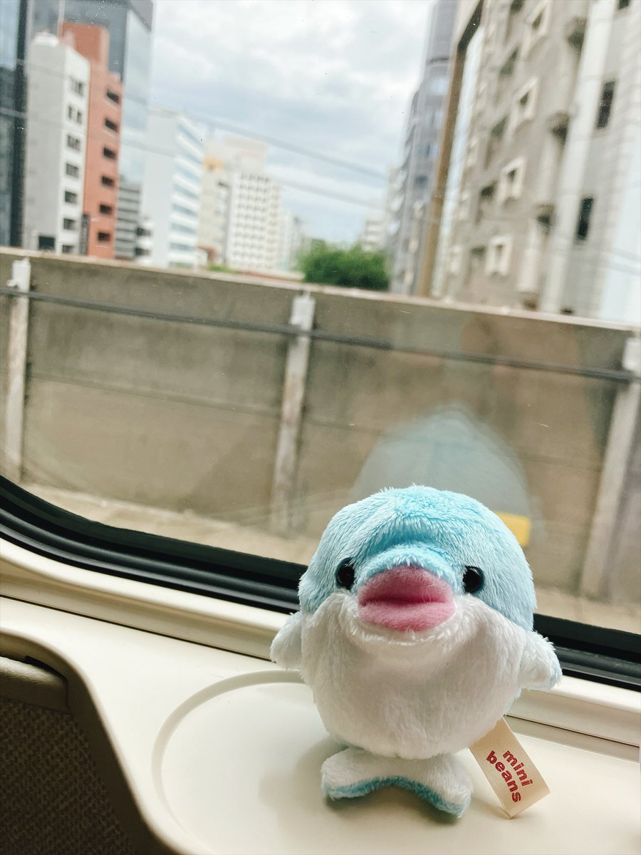 RerukaS's tweet photo. 旅行の始まりだ！
#ミニビーンズ https://t.co/nhih4OcTHU