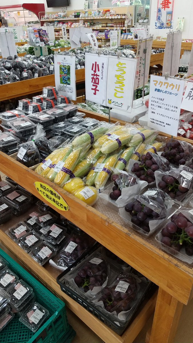 JAsagamiharashi's tweet photo. お盆用切り花たくさん入荷中💐
明日１２日も休まず営業いたします🤗

 #JA #農協 #相模原 #JA相模原市 #ベジたべーな #ベジタベーナ #直売所 https://t.co/aoirZlMIW7