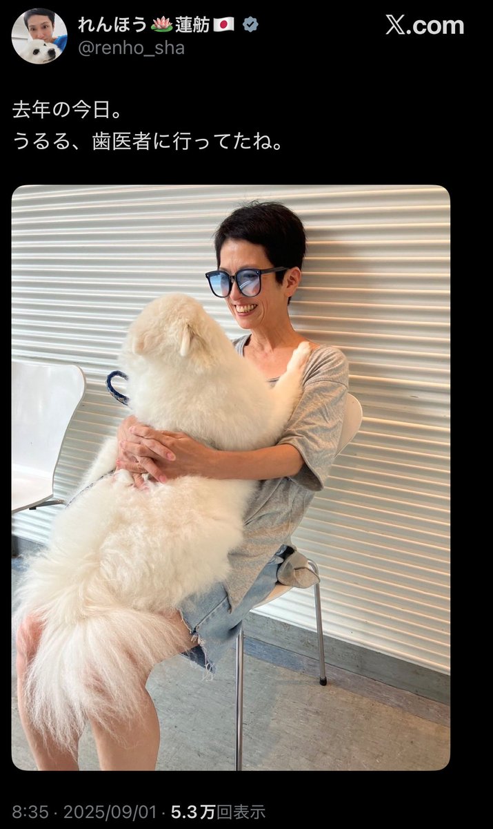 mdriiiii333333's tweet photo. 【速報】

蓮舫、8/6(原爆の日)に歯医者に行った高市総理を批判するも
自身は関東大震災の日に犬の歯医者に行っていたことが判明 https://t.co/TgD10lQrcl