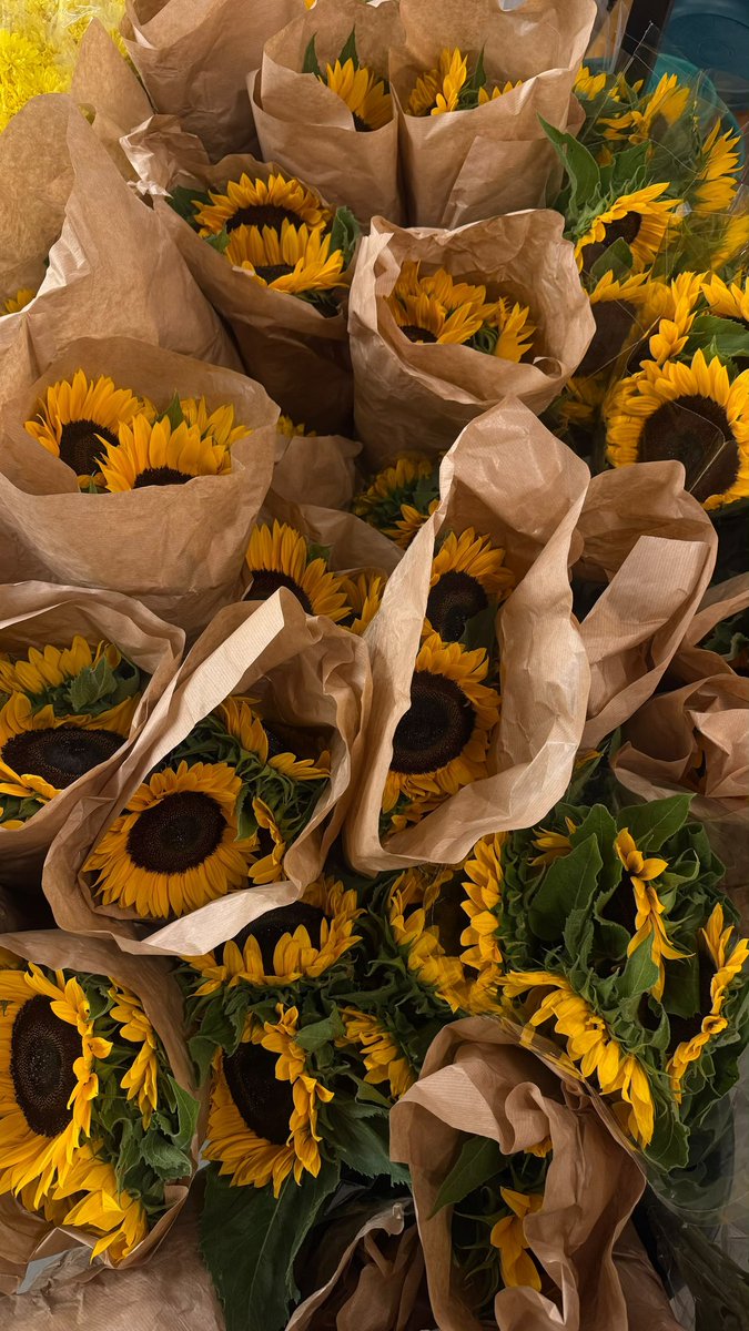 r5unf's tweet photo. أحب الورد
أحب الورد 
أحب الورد 
أحب الورد
أحب الوووووررررد❣️❣️
🍀🌻🌸💐🌷🪷🌺🌼 https://t.co/2i6ztphjZi