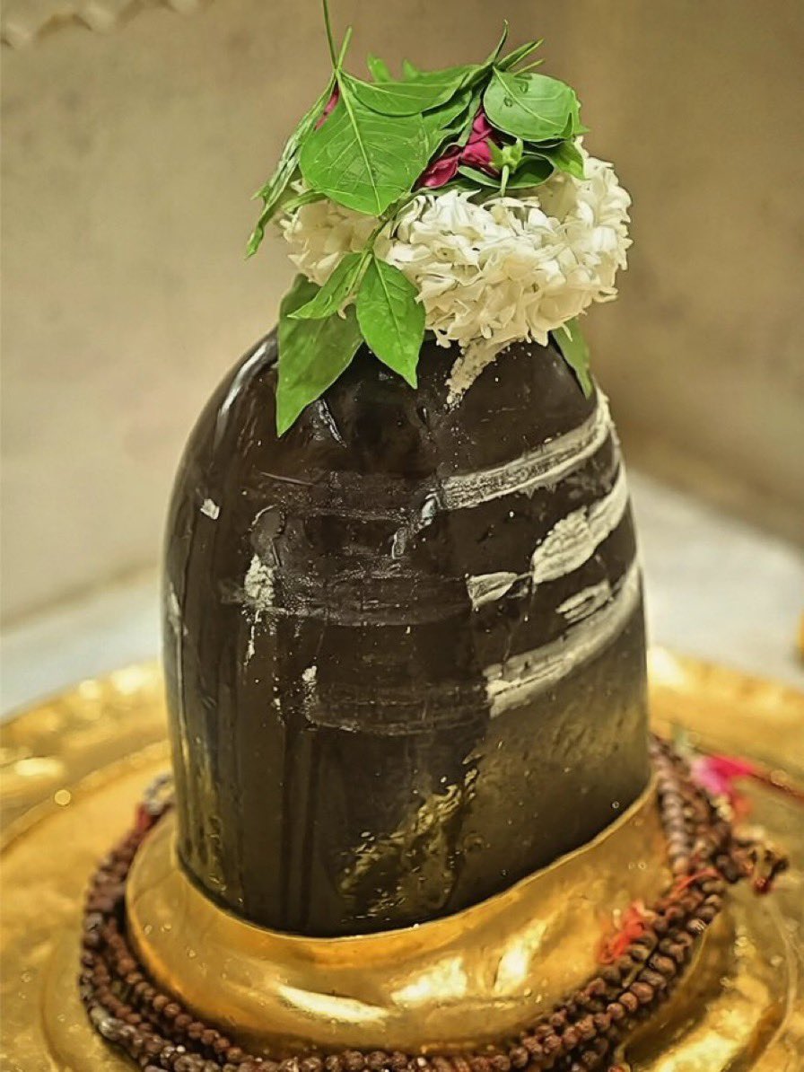 bhumidixit__'s tweet photo. श्री काशी विश्वनाथ महादेव दिव्य दर्शन, हर हर महादेव। https://t.co/BnbeNjWQSu