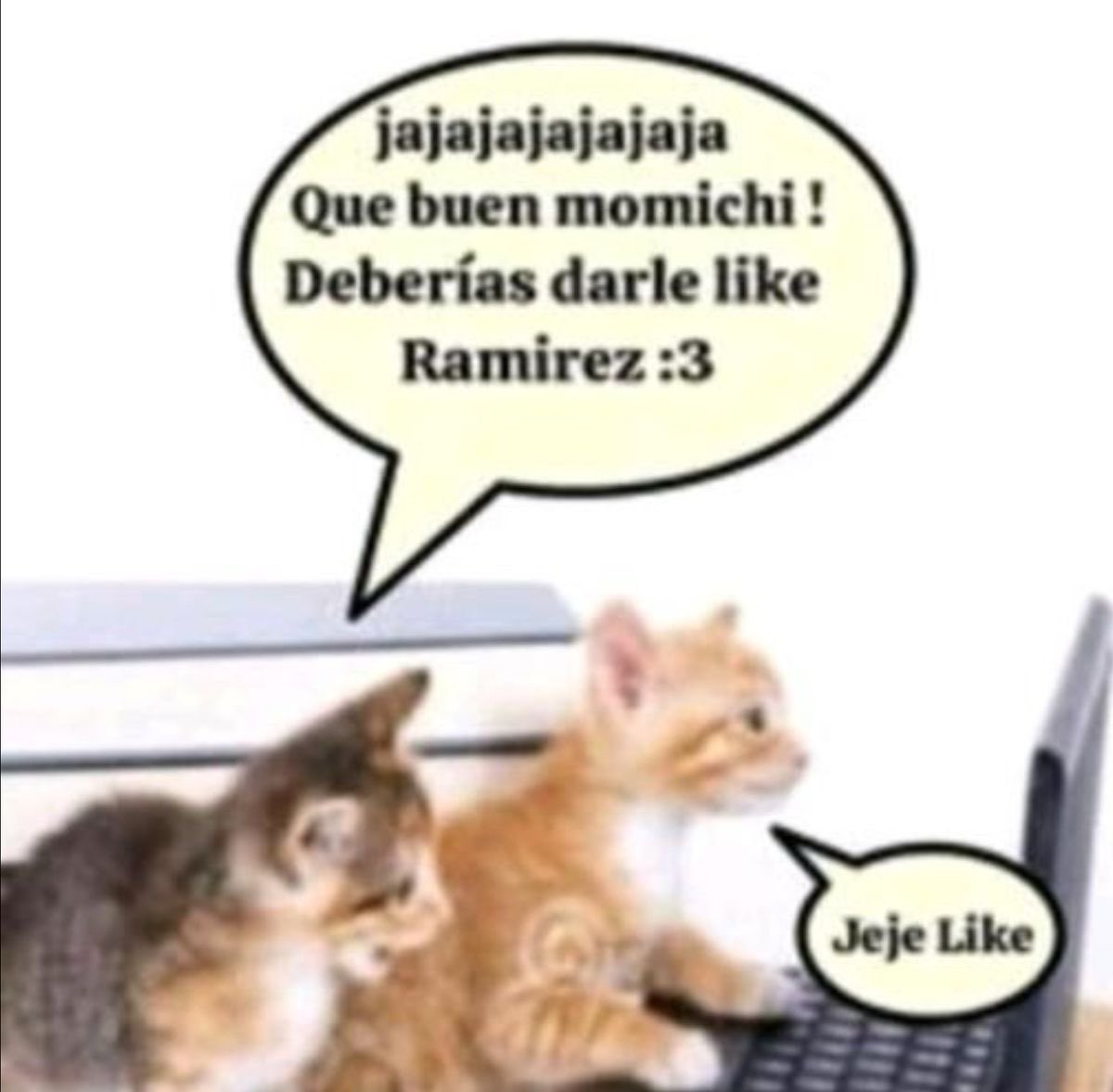 rakkooku's tweet photo. yo con lo que suben mis mutis https://t.co/3dTvmstY03