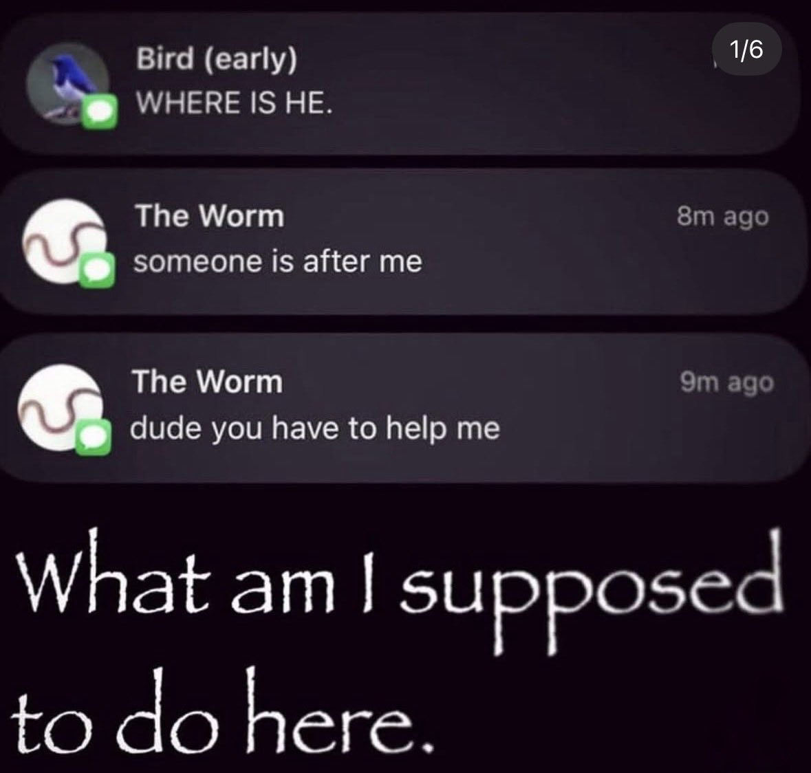 RespectfulMemes's tweet photo. https://t.co/8hXtRVsTE4