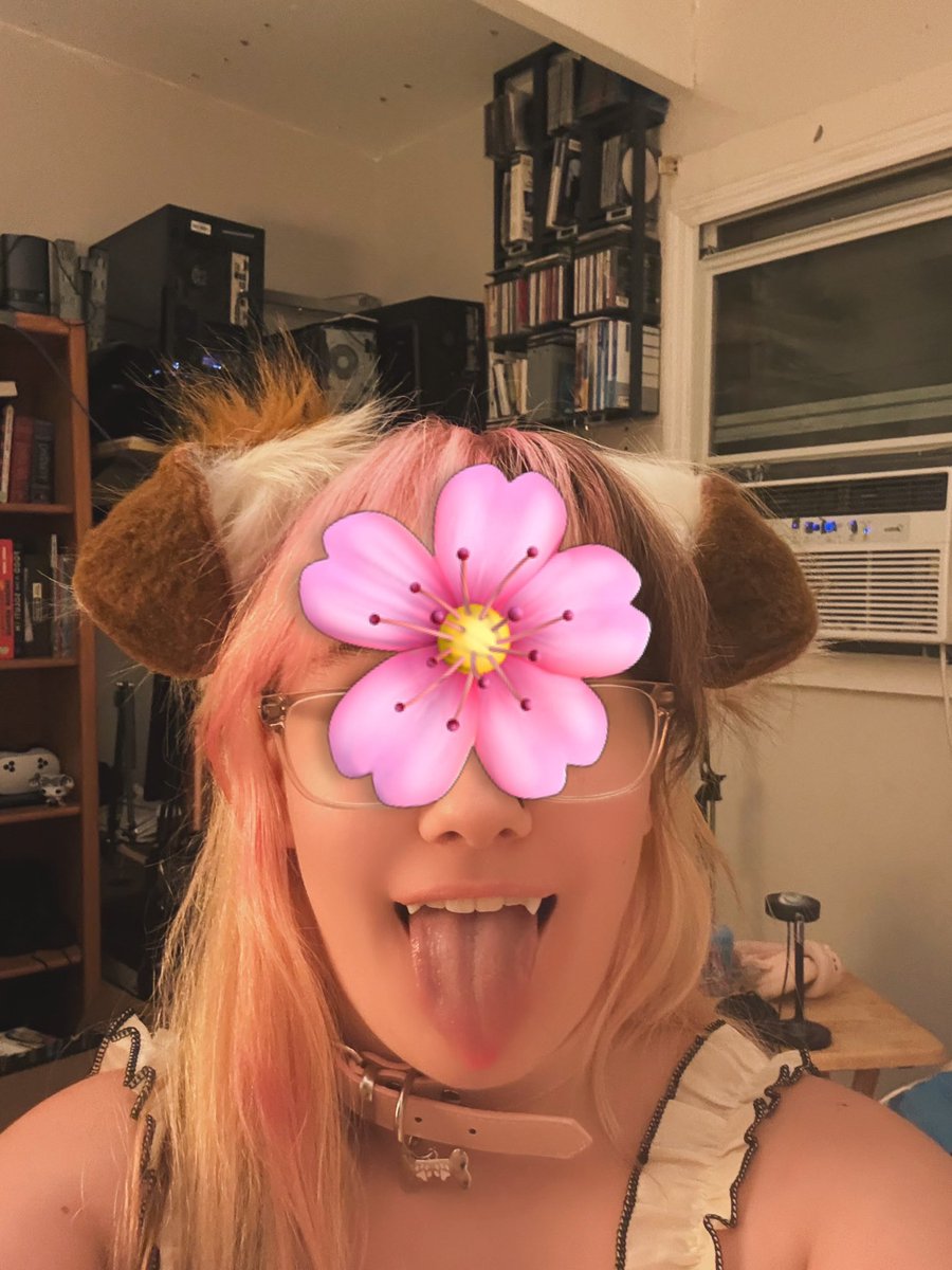PinkPupPrincees's tweet photo. Puppy finally got her big girl teeth 🐶#puppygirl #pinkcore #findom #nsfwtwtًً https://t.co/HBJJx6jtjs