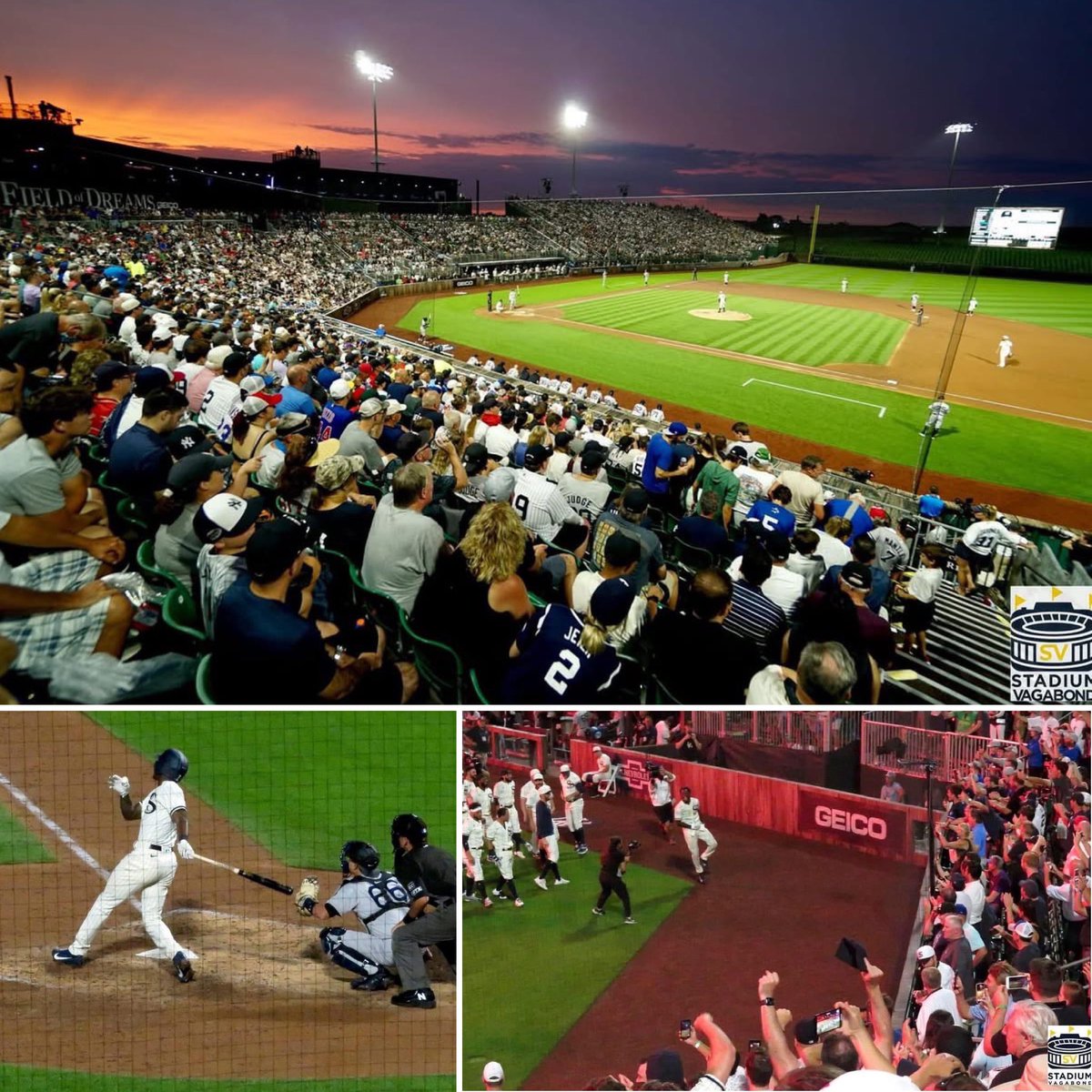 StadiumVagabond's tweet photo. 🎉 Congrats @TimAnderson7 on your retirement!
One of my fav sporting memories of life is your 2021 Field of Dreams “stalk-off” homer, when @whitesox beat @Yankees 9-8. 🌽💥⚾️
Thanks for the memories, TA7!
#TA7 #TimAnderson #FieldOfDreams #WhiteSox https://t.co/8gAiXgsttb