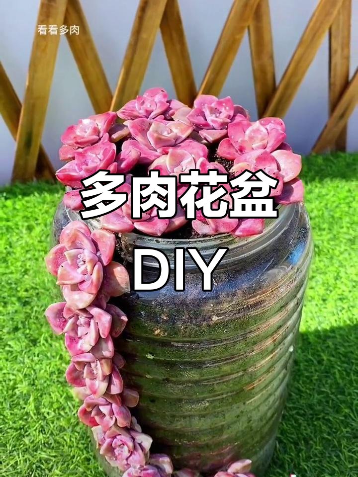 AstridGree945z's tweet photo. Turn old glass jars into cute hanging succulent planters – no fancy tools needed! Green up your space for free with this quick upcycle hack https://t.co/1ZfddRzdke