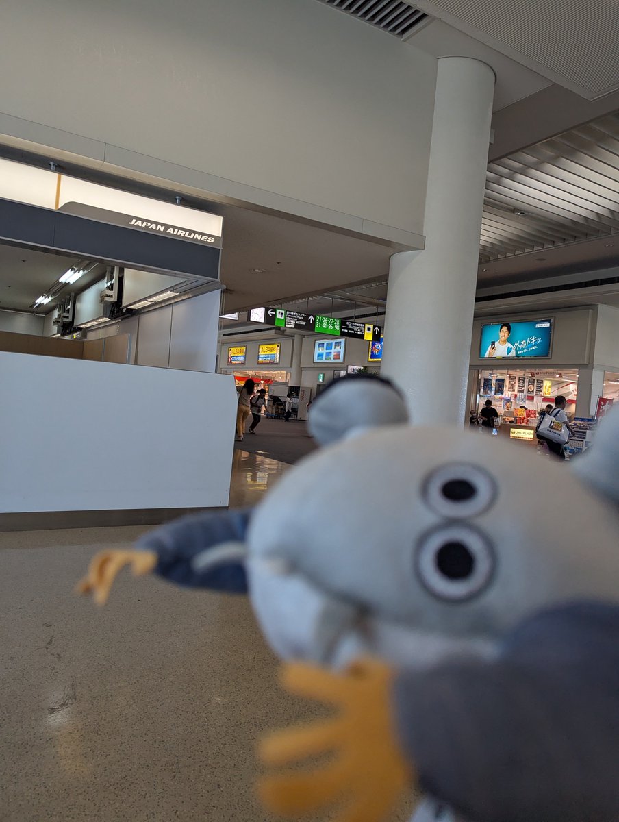Akiporing's tweet photo. 那覇空港だよ。サンダルフォン https://t.co/ywt0NYG1A8