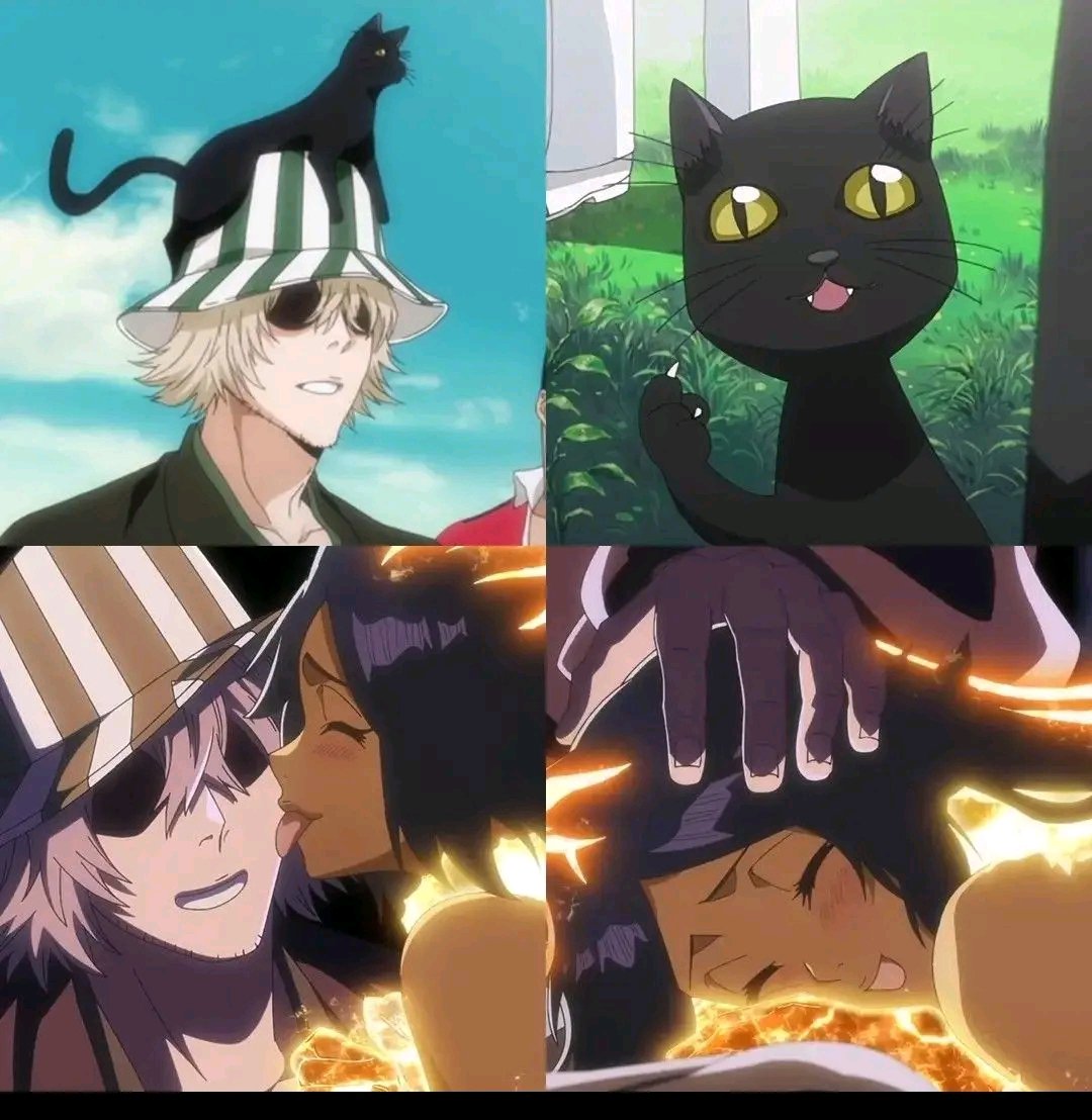 BleachArchivess's tweet photo. Urahara and his fascination with cats. https://t.co/SVxI1yxm5y