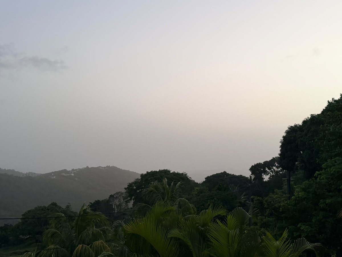 carribeansister's tweet photo. Non mais vraiment…c’est une dinguerie la brume je vous jure 😵‍💫😵‍💫😵‍💫😩😩🫠🫠🫠 https://t.co/UBz5n437g4