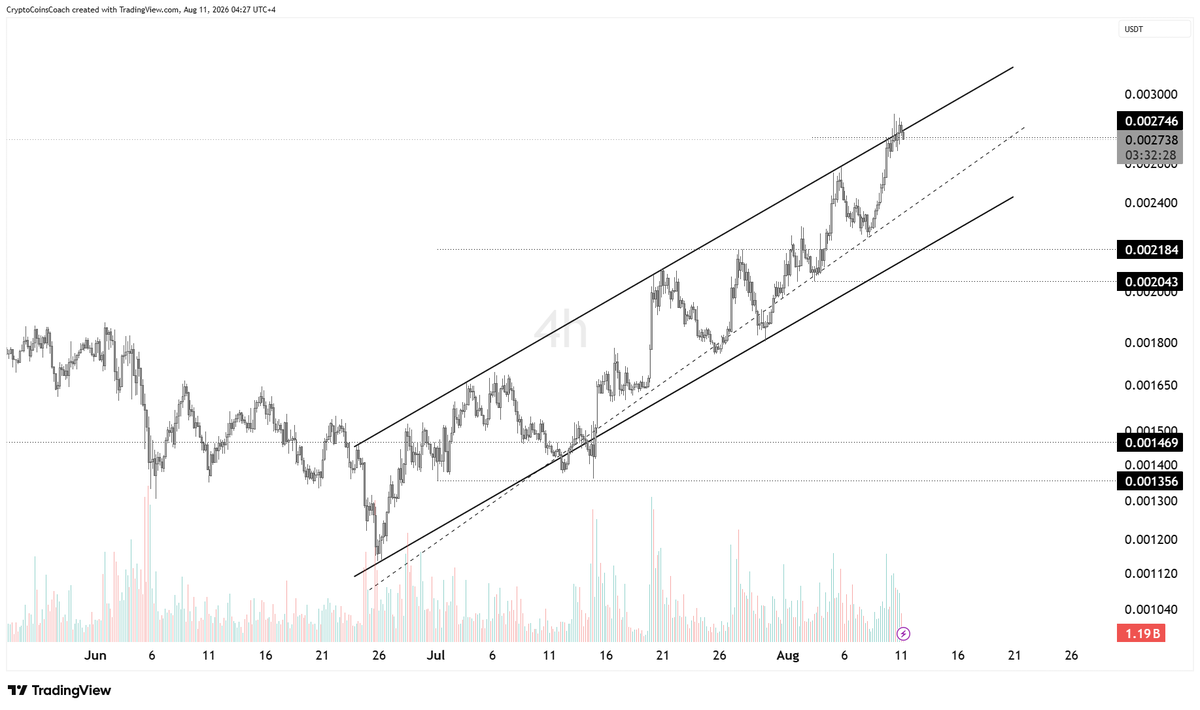 CryptoCoinCoach's tweet photo. #PUMP

Price continues to maintain a strong recovery structure, trading inside an ascending channel with consistent higher highs and higher lows. The recent move has pushed price toward the upper boundary of the channel, where a breakout attempt could determine the next direction.

A confirmed breakout above the current resistance area could open the path toward further upside, while rejection from the channel top may lead to a short-term pullback toward the nearby support zones.

Key levels:
🟢 Support: 0.00218 → 0.00204
�� Resistance: 0.00278 → 0.00337
📈 Bullish scenario: Holding above 0.00218 and breaking the channel resistance could continue the upward move.

📉 Bearish scenario: A rejection from the upper channel may trigger a retest toward lower support before the next attempt.
