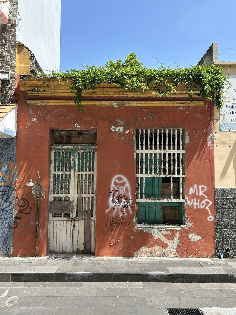 IvanTewari's tweet photo. Las élites políticas y económicas preferirían comer tierra a renunciar a sus privilegios de acceso a la ciudad. Lit. En el centro de la ciudad de Veracruz hay cientos de casas abandonas, cerradas y en ruinas propiedad de ciertos europeos que llegaron hace 500 años a Chalchihuecan https://t.co/wtFs5xOpWP