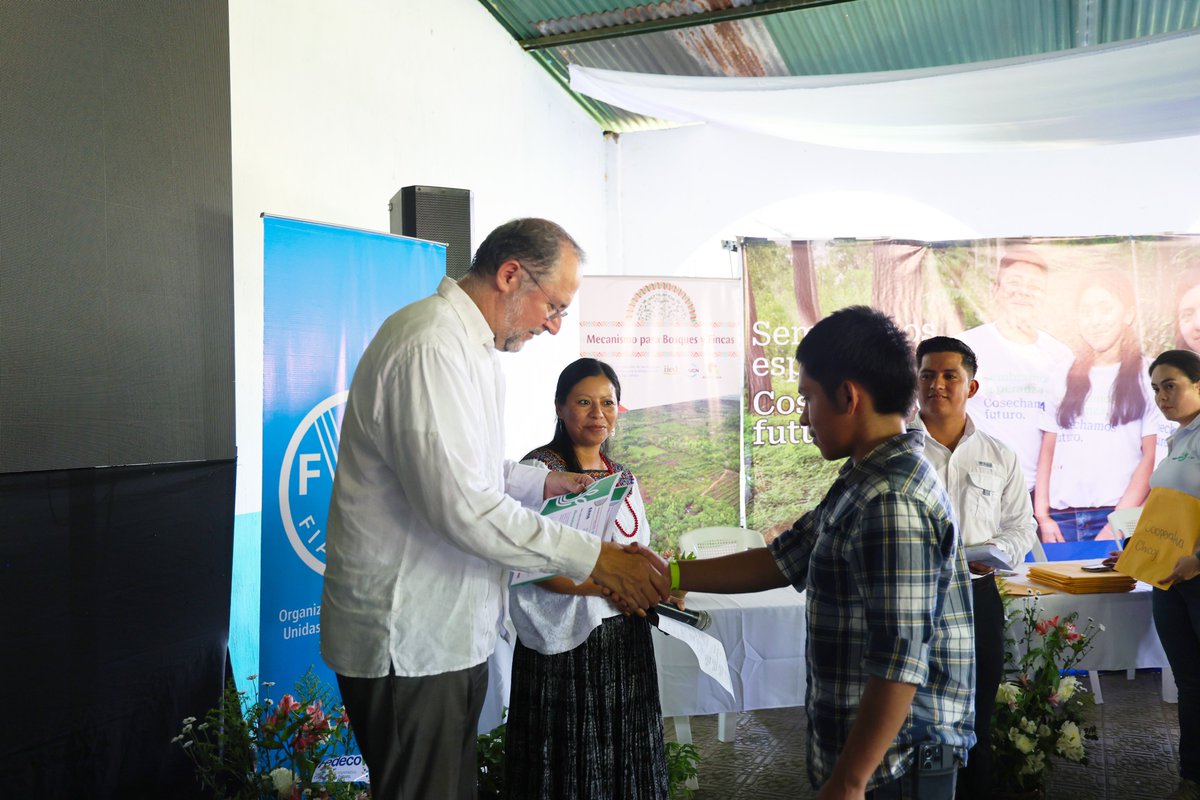 FAOGuatemala's tweet photo. #NoticiasFAO 📰

🌳En Alta y Baja Verapaz más de 3⃣4⃣0⃣ jóvenes, 65% mujeres, fortalecieron sus capacidades productivas, asociativas y de emprendimiento agroforestal por medio de las Escuelas de Campo #ECA, con el apoyo técnico de @FAO🇬🇹y @fedecovera🌿

🔗 https://t.co/oHccvTzW8n https://t.co/7LMtf8hpHj