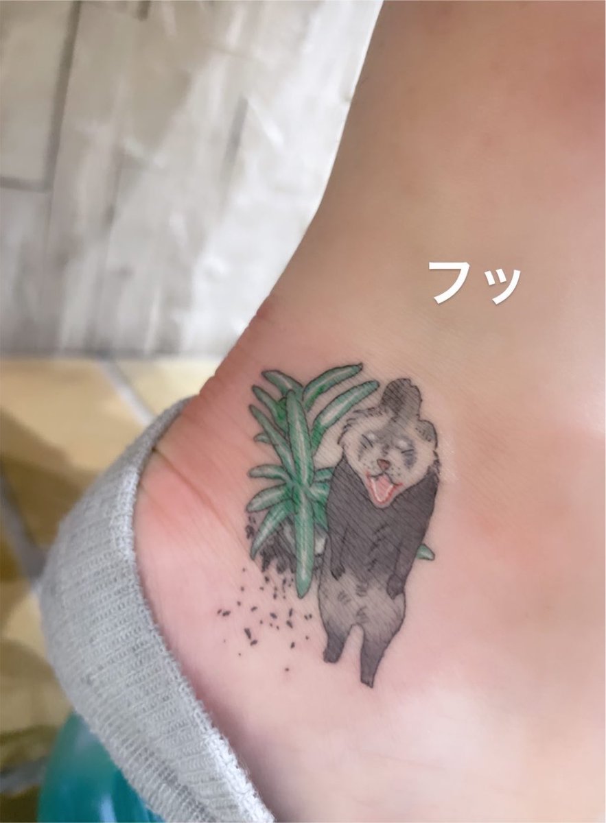 hana_inusuki's tweet photo. うちのバカタトゥー見てー♡
観葉植物の土掘って怒られてるうちのフェレット https://t.co/zZh34cpDwC
