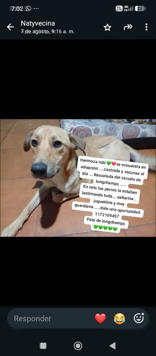 patripeyrou's tweet photo. Difundimos https://t.co/4jHsVtosqc