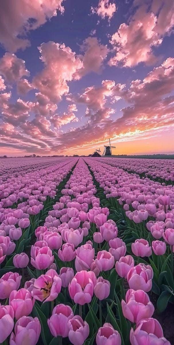 aestheticspost_'s tweet photo. https://t.co/dkpfQ79Pxy