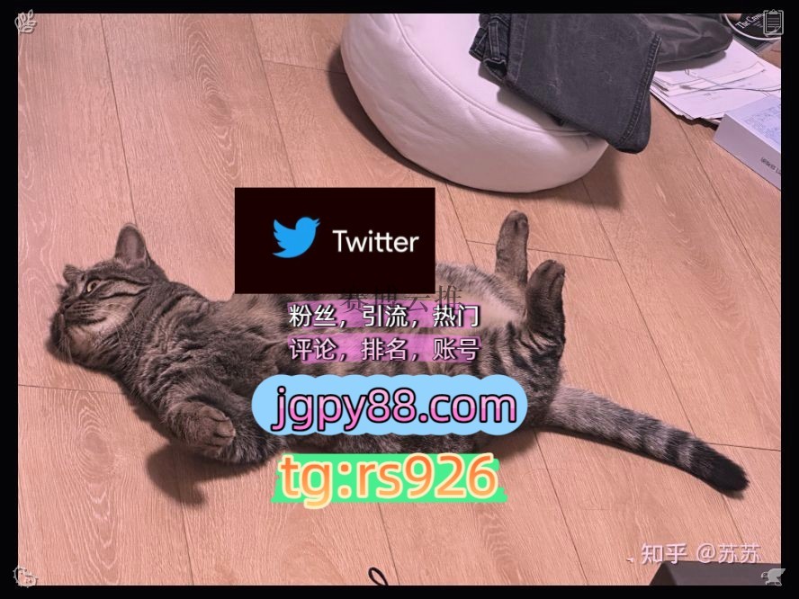 PROJECTOZZY's tweet photo. Failure teaches valuable life lessons.
推特软件推特矩阵管理、营销自动化、内容运营外🥼facebook热门号
粉丝号推特账号推特账号杭州
海外获客🌺互推助手🎌数字货币🍁上门围595795批量发帖、多账号管理、推广营销
霸屏🪐群发私信💐海外获客🍀临汾代发烟台   🦿客.服看→资.料
推广instagram🏭 https://t.co/eYoTkmnHKy