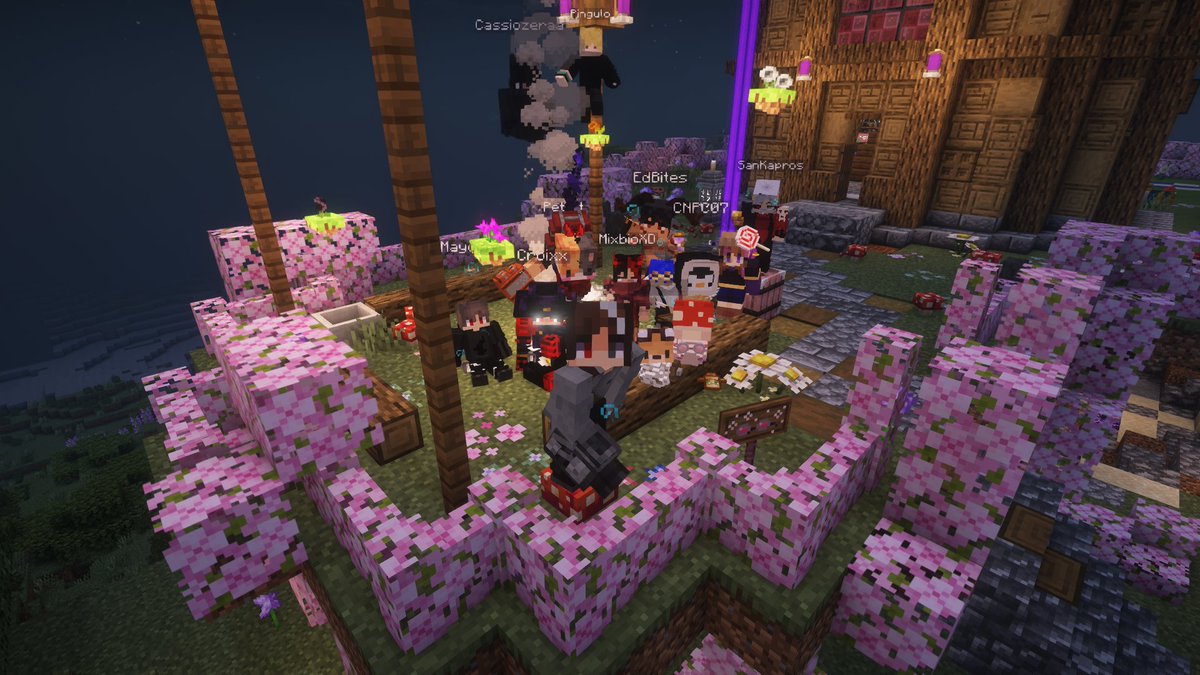 chrisz_v1's tweet photo. oi! eu sou o chris (ou ian) e eu sou VICIADO em jogar SMP's! 💙 https://t.co/lQdAWHGo2E